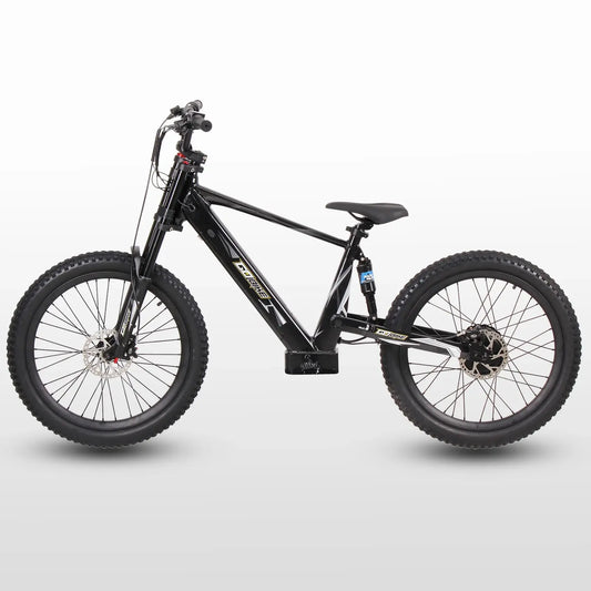 GoBike 24 Inch Electric Bike for Teens – High Speed Performance for Ages 12+