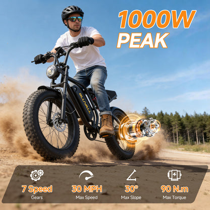 BLUVALL SU8 48V Full Suspension Fat Tyre eBike (Unlockable)