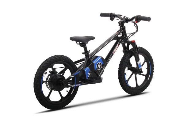 DHZ 16" 800W Electric Balance Bike, Removable Battery, Brushless Hub Motor ⚡⚡⚡