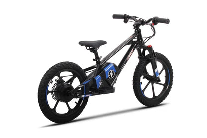 DHZ 16" 800W Electric Balance Bike, Removable Battery, Brushless Hub Motor ⚡⚡⚡