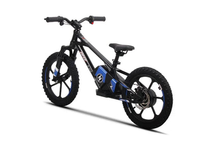 DHZ 16" 800W Electric Balance Bike, Removable Battery, Brushless Hub Motor ⚡⚡⚡