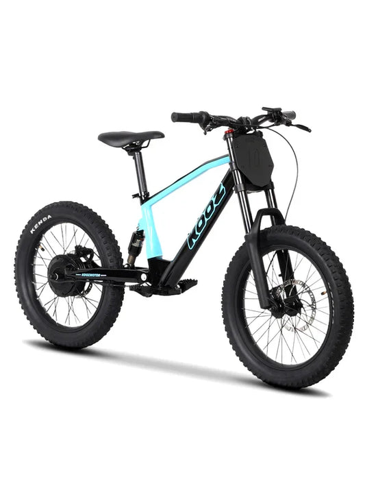 DHZ 20" 750W Electric Balance Bike, Rear Brushless Motor ⚡⚡⚡
