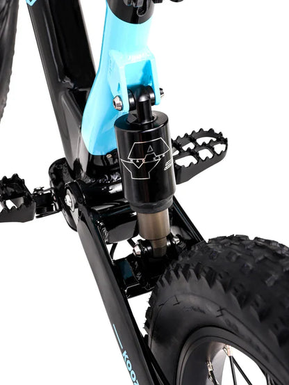 DHZ 20" 750W Electric Balance Bike, Rear Brushless Motor ⚡⚡⚡