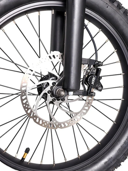 DHZ 20" 750W Electric Balance Bike, Rear Brushless Motor ⚡⚡⚡