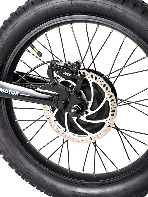 DHZ 20" 750W Electric Balance Bike, Rear Brushless Motor ⚡⚡⚡