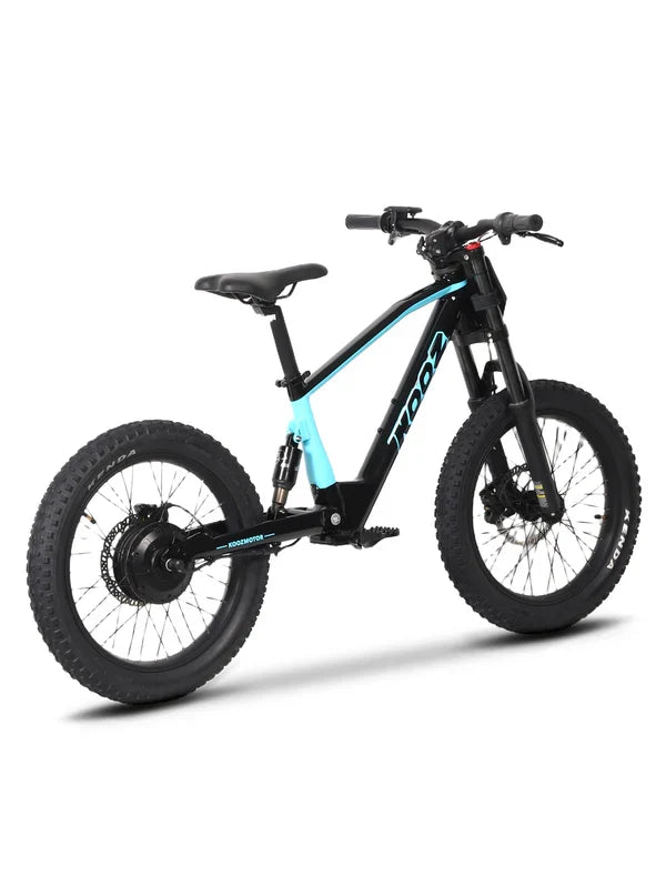 DHZ 20" 750W Electric Balance Bike, Rear Brushless Motor ⚡⚡⚡