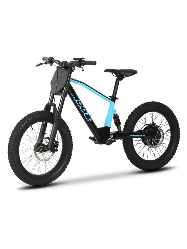 DHZ 20" 750W Electric Balance Bike, Rear Brushless Motor ⚡⚡⚡