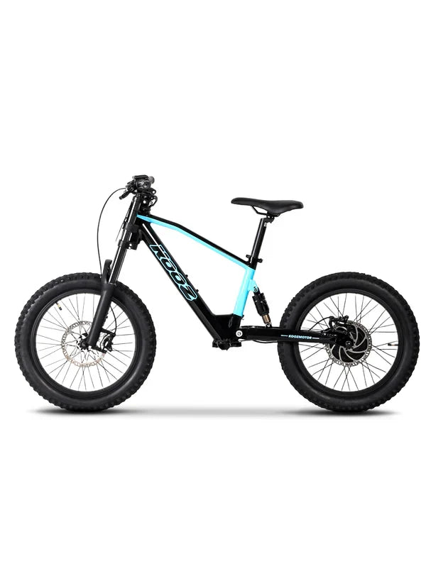DHZ 20" 750W Electric Balance Bike, Rear Brushless Motor ⚡⚡⚡