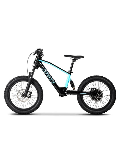 DHZ 20" 750W Electric Balance Bike, Rear Brushless Motor ⚡⚡⚡