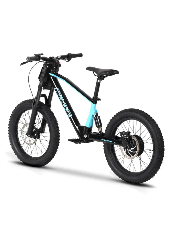DHZ 20" 750W Electric Balance Bike, Rear Brushless Motor ⚡⚡⚡