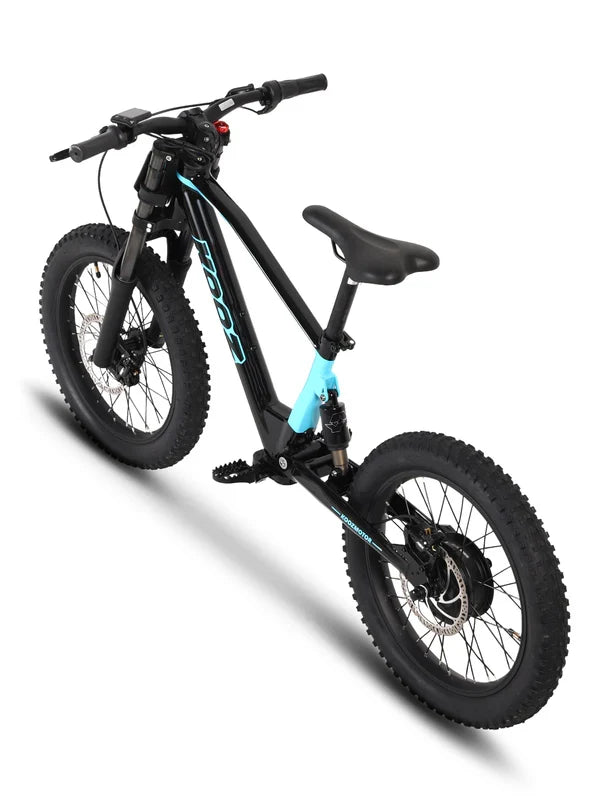DHZ 20" 750W Electric Balance Bike, Rear Brushless Motor ⚡⚡⚡