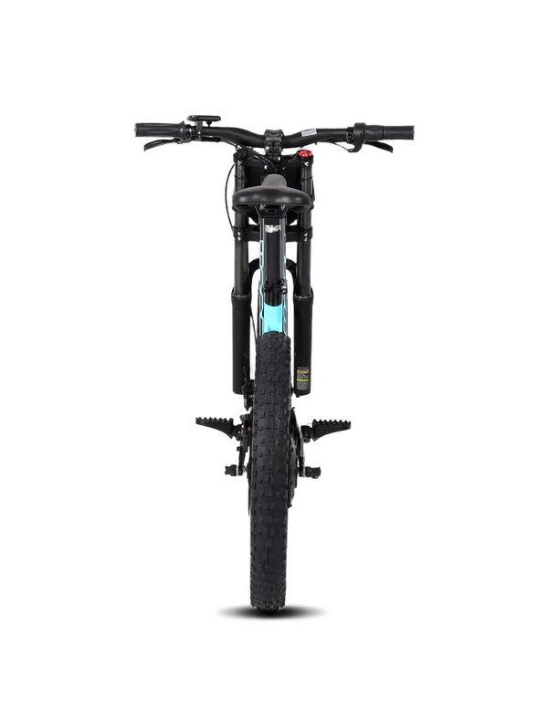 DHZ 20" 750W Electric Balance Bike, Rear Brushless Motor ⚡⚡⚡