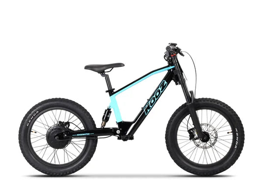 DHZ 20" 750W Electric Balance Bike, Rear Brushless Motor ⚡⚡⚡