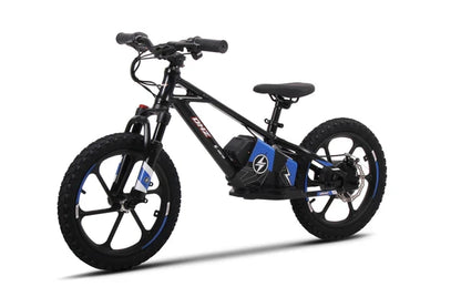 DHZ 16" 800W Electric Balance Bike, Removable Battery, Brushless Hub Motor ⚡⚡⚡