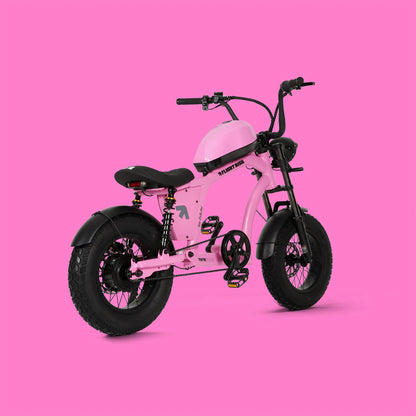 FR606 NEWEST MODEL FROM FLIGHT RISK BIKES  ⚡⚡⚡
