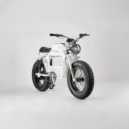 FR888 FLIGHT RISK BIKE "THE FUGITIVE'' ESCAPE VEHICLE ⚡⚡⚡