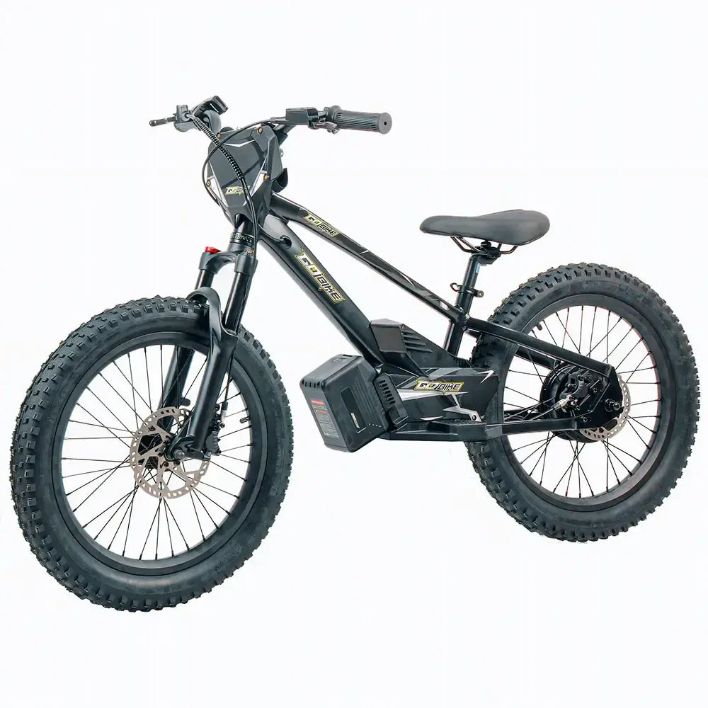 GoBike 20 Inch Electric Bike for Kids & Teens – Ages 9–16