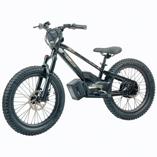 GoBike 20 Inch Electric Bike for Kids & Teens – Ages 9–16