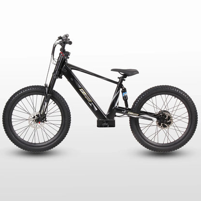 GoBike 24 Inch Electric Bike for Teens – High Speed Performance for Ages 12+