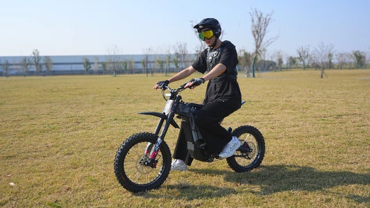 R1 Lite / R1-17