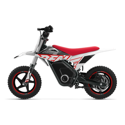 RFN WARRIOR KIDS SX-E250 ELECTRIC DIRT BIKE ⚡⚡⚡