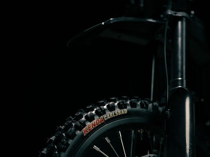 ERIDE PRO MINI