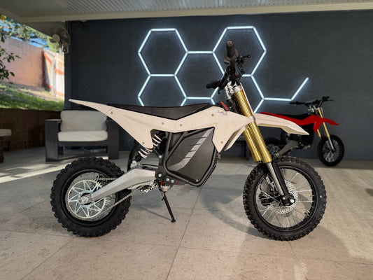 RONSTER RIDES RTR LITE 60V